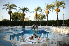 Poolside / Wedding