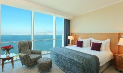 Evcil Hayvan Konaklama