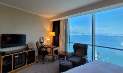 Evcil Hayvan Konaklama